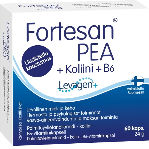 БАД для выносливости и нервной системы Fortesan® PEA + Koliini + B6